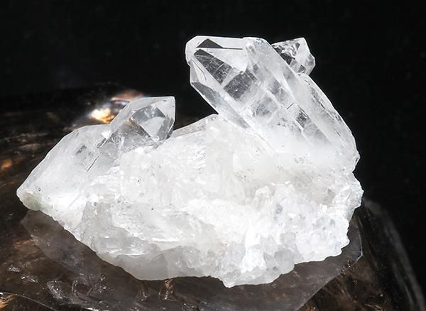 <img class='new_mark_img1' src='https://img.shop-pro.jp/img/new/icons1.gif' style='border:none;display:inline;margin:0px;padding:0px;width:auto;' /><br>徽Υߥ˥饹<br>֥饸 ߥʥ饤 ٥ ȥޥ󥵥