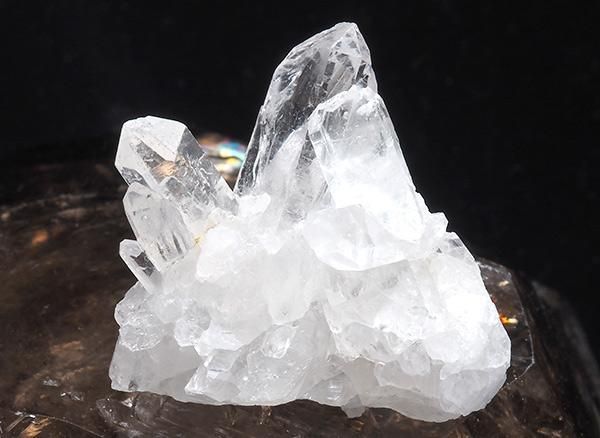 <img class='new_mark_img1' src='https://img.shop-pro.jp/img/new/icons1.gif' style='border:none;display:inline;margin:0px;padding:0px;width:auto;' /><br>徽Υߥ˥饹<br>֥饸 ߥʥ饤 ٥ ȥޥ󥵥