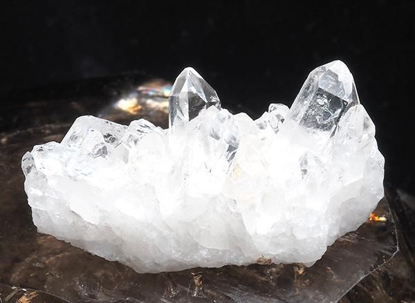 <img class='new_mark_img1' src='https://img.shop-pro.jp/img/new/icons1.gif' style='border:none;display:inline;margin:0px;padding:0px;width:auto;' /><br>徽Υߥ˥饹<br>֥饸 ߥʥ饤 ٥ ȥޥ󥵥