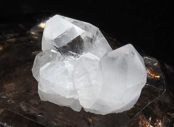 <img class='new_mark_img1' src='https://img.shop-pro.jp/img/new/icons1.gif' style='border:none;display:inline;margin:0px;padding:0px;width:auto;' /><br>徽Υߥ˥饹<br>֥饸 ߥʥ饤 ٥ ȥޥ󥵥