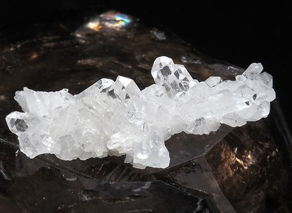 <img class='new_mark_img1' src='https://img.shop-pro.jp/img/new/icons1.gif' style='border:none;display:inline;margin:0px;padding:0px;width:auto;' /><br>徽Υߥ˥饹<br>֥饸 ߥʥ饤 ٥ ȥޥ󥵥