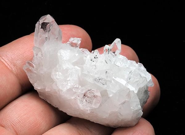 <img class='new_mark_img1' src='https://img.shop-pro.jp/img/new/icons1.gif' style='border:none;display:inline;margin:0px;padding:0px;width:auto;' /><br>徽Υߥ˥饹<br>֥饸 ߥʥ饤 ٥ ȥޥ󥵥