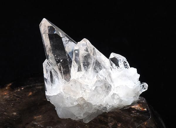 <img class='new_mark_img1' src='https://img.shop-pro.jp/img/new/icons1.gif' style='border:none;display:inline;margin:0px;padding:0px;width:auto;' /><br>徽Υߥ˥饹<br>֥饸 ߥʥ饤 ٥ ȥޥ󥵥