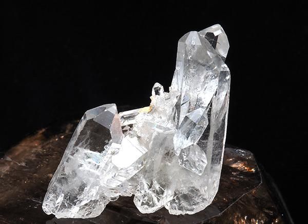 <img class='new_mark_img1' src='https://img.shop-pro.jp/img/new/icons1.gif' style='border:none;display:inline;margin:0px;padding:0px;width:auto;' /><br>徽Υߥ˥饹<br>֥饸 ߥʥ饤 ٥ ȥޥ󥵥