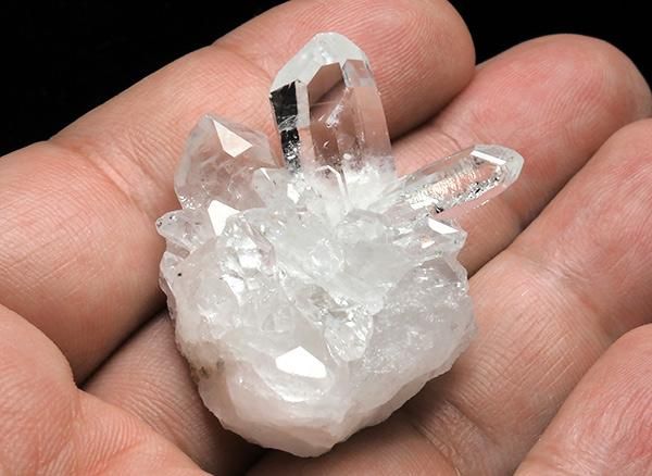 <img class='new_mark_img1' src='https://img.shop-pro.jp/img/new/icons1.gif' style='border:none;display:inline;margin:0px;padding:0px;width:auto;' /><br>徽Υߥ˥饹<br>֥饸 ߥʥ饤 ٥ ȥޥ󥵥