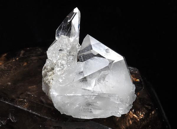 <img class='new_mark_img1' src='https://img.shop-pro.jp/img/new/icons1.gif' style='border:none;display:inline;margin:0px;padding:0px;width:auto;' /><br>徽Υߥ˥饹<br>֥饸 ߥʥ饤 ٥ ȥޥ󥵥