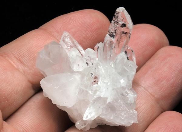 <img class='new_mark_img1' src='https://img.shop-pro.jp/img/new/icons1.gif' style='border:none;display:inline;margin:0px;padding:0px;width:auto;' /><br>徽Υߥ˥饹<br>֥饸 ߥʥ饤 ٥ ȥޥ󥵥