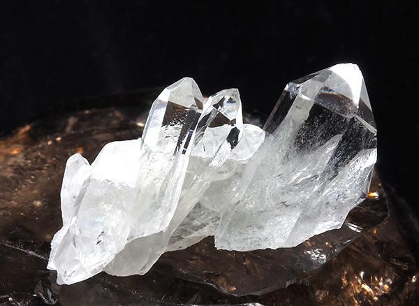 <img class='new_mark_img1' src='https://img.shop-pro.jp/img/new/icons1.gif' style='border:none;display:inline;margin:0px;padding:0px;width:auto;' /><br>徽Υߥ˥饹<br>֥饸 ߥʥ饤 ٥ ȥޥ󥵥