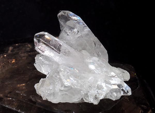 <img class='new_mark_img1' src='https://img.shop-pro.jp/img/new/icons1.gif' style='border:none;display:inline;margin:0px;padding:0px;width:auto;' /><br>徽Υߥ˥饹<br>֥饸 ߥʥ饤 ٥ ȥޥ󥵥