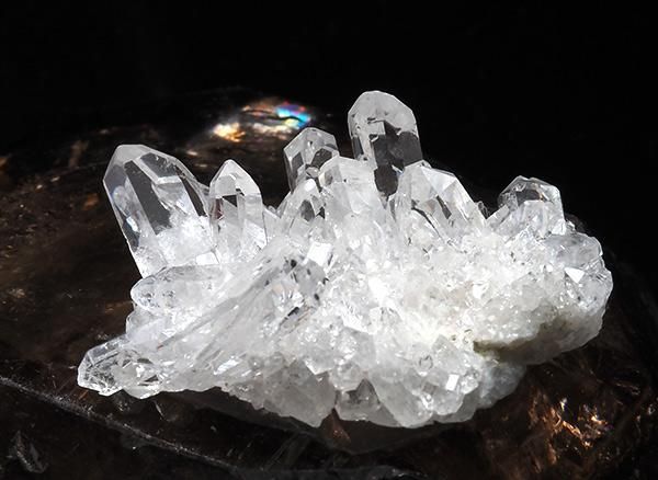 <img class='new_mark_img1' src='https://img.shop-pro.jp/img/new/icons1.gif' style='border:none;display:inline;margin:0px;padding:0px;width:auto;' /><br>徽Υߥ˥饹<br>֥饸 ߥʥ饤 ٥ ȥޥ󥵥