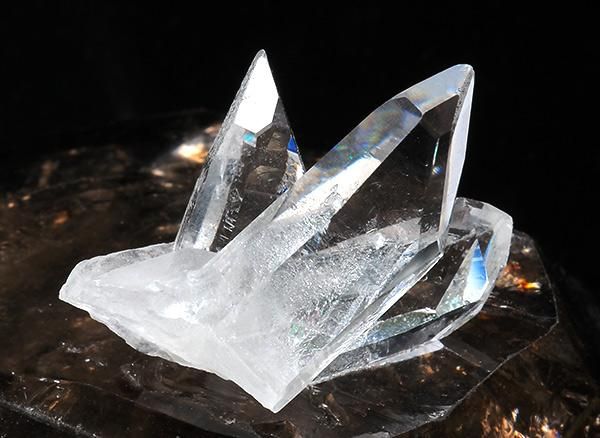 <img class='new_mark_img1' src='https://img.shop-pro.jp/img/new/icons1.gif' style='border:none;display:inline;margin:0px;padding:0px;width:auto;' /><br>徽Υߥ˥饹<br>֥饸 ߥʥ饤 ٥ ȥޥ󥵥