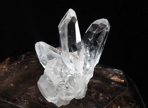 <img class='new_mark_img1' src='https://img.shop-pro.jp/img/new/icons1.gif' style='border:none;display:inline;margin:0px;padding:0px;width:auto;' /><br>徽Υߥ˥饹<br>֥饸 ߥʥ饤 ٥ ȥޥ󥵥