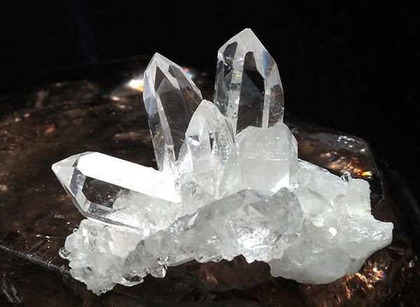 <img class='new_mark_img1' src='https://img.shop-pro.jp/img/new/icons1.gif' style='border:none;display:inline;margin:0px;padding:0px;width:auto;' /><br>徽Υߥ˥饹<br>֥饸 ߥʥ饤 ٥ ȥޥ󥵥