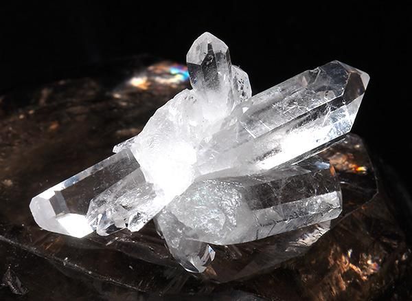 <img class='new_mark_img1' src='https://img.shop-pro.jp/img/new/icons1.gif' style='border:none;display:inline;margin:0px;padding:0px;width:auto;' /><br>徽Υߥ˥饹<br>֥饸 ߥʥ饤 ٥ ȥޥ󥵥