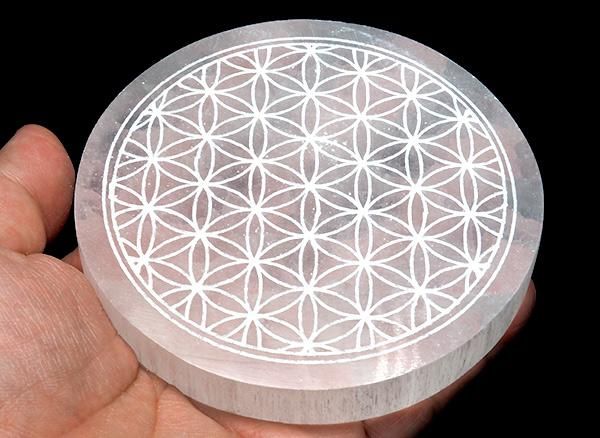 <img class='new_mark_img1' src='https://img.shop-pro.jp/img/new/icons1.gif' style='border:none;display:inline;margin:0px;padding:0px;width:auto;' /><br>ʼʥ(ޥꥢΥ饹)Υե֥饤աץ졼<br>å