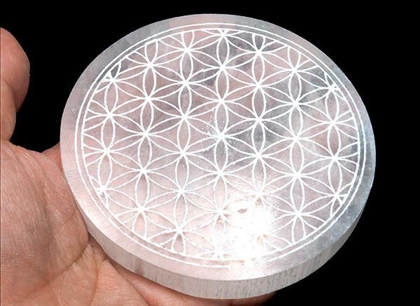 <img class='new_mark_img1' src='https://img.shop-pro.jp/img/new/icons1.gif' style='border:none;display:inline;margin:0px;padding:0px;width:auto;' /><br>ʼʥ(ޥꥢΥ饹)Υե֥饤աץ졼<br>å