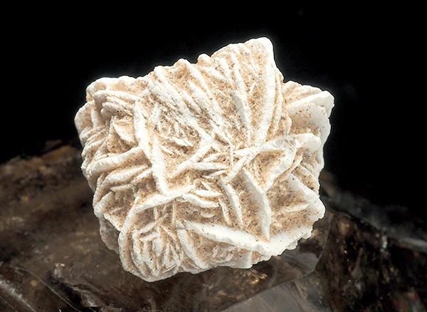 <img class='new_mark_img1' src='https://img.shop-pro.jp/img/new/icons1.gif' style='border:none;display:inline;margin:0px;padding:0px;width:auto;' /><br>ǥȥη뾽ʺΥХ<br>ᥭ