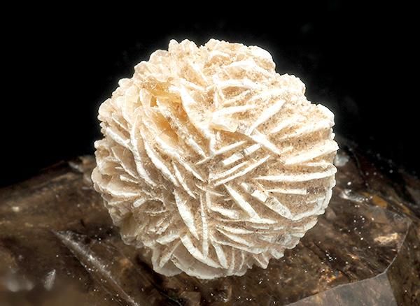 <img class='new_mark_img1' src='https://img.shop-pro.jp/img/new/icons1.gif' style='border:none;display:inline;margin:0px;padding:0px;width:auto;' /><br>ǥȥη뾽ʺΥХ<br>ᥭ