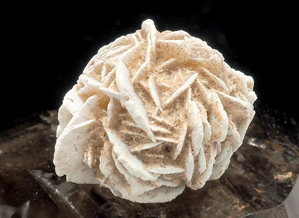 <img class='new_mark_img1' src='https://img.shop-pro.jp/img/new/icons1.gif' style='border:none;display:inline;margin:0px;padding:0px;width:auto;' /><br>ǥȥη뾽ʺΥХ<br>ᥭ