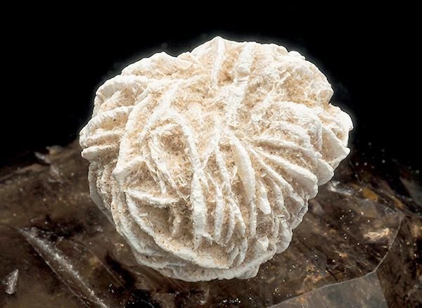 <img class='new_mark_img1' src='https://img.shop-pro.jp/img/new/icons1.gif' style='border:none;display:inline;margin:0px;padding:0px;width:auto;' /><br>ǥȥη뾽ʺΥХ<br>ᥭ