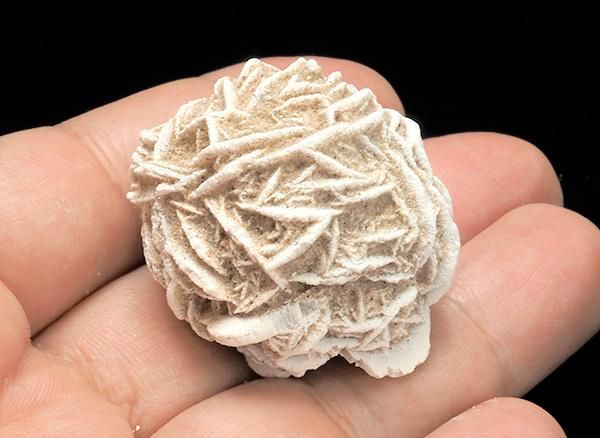 <img class='new_mark_img1' src='https://img.shop-pro.jp/img/new/icons1.gif' style='border:none;display:inline;margin:0px;padding:0px;width:auto;' />����<br>�ǥ����ȥ������η뾽�ʺ����ΥХ��<br>�ᥭ������