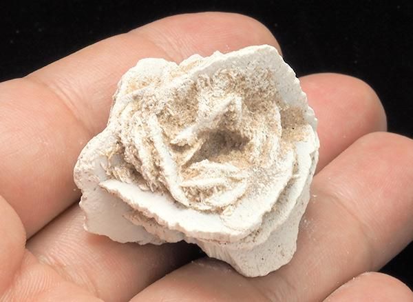 <img class='new_mark_img1' src='https://img.shop-pro.jp/img/new/icons1.gif' style='border:none;display:inline;margin:0px;padding:0px;width:auto;' /><br>ǥȥη뾽ʺΥХ<br>ᥭ