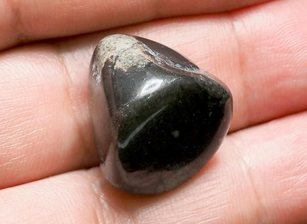 <img class='new_mark_img1' src='https://img.shop-pro.jp/img/new/icons1.gif' style='border:none;display:inline;margin:0px;padding:0px;width:auto;' />ŷ¹פϤǽ<br>ŷФΥ֥<BR>ܺ긩Ƿƻ