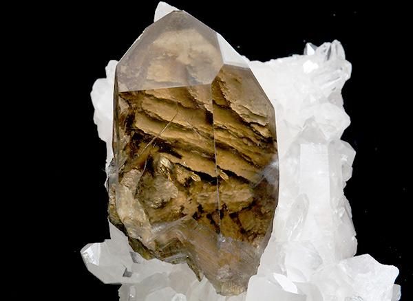 ���꺤��ʥ����θ��ο徽�������!!<br>����� ���⡼�������֥�å������ǥ󥯥����ĤΥݥ���� <br>��������������������뻳̮�������ץ��йۻ���