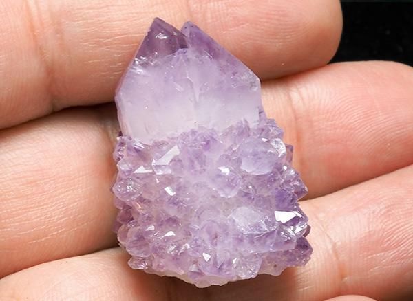 <img class='new_mark_img1' src='https://img.shop-pro.jp/img/new/icons1.gif' style='border:none;display:inline;margin:0px;padding:0px;width:auto;' />����<BR>�����������᥸���ȡʥ��ԥ�åȡ��������ġ�SA<BR>��եꥫ��Boekenhoutshoek������