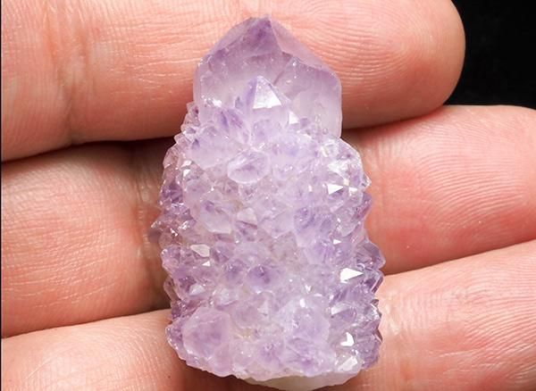 <img class='new_mark_img1' src='https://img.shop-pro.jp/img/new/icons1.gif' style='border:none;display:inline;margin:0px;padding:0px;width:auto;' />����<BR>�����������᥸���ȡʥ��ԥ�åȡ��������ġ�SA<BR>��եꥫ��Boekenhoutshoek������