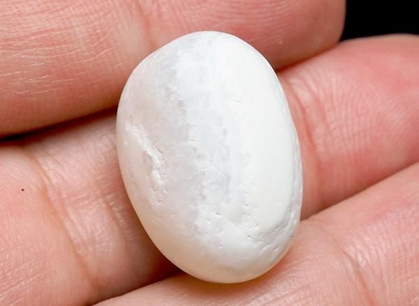 <img class='new_mark_img1' src='https://img.shop-pro.jp/img/new/icons20.gif' style='border:none;display:inline;margin:0px;padding:0px;width:auto;' />����<br>��ι�����Τ�����֥�<BR>�̳�ƻ �ػ�����ι�Į��