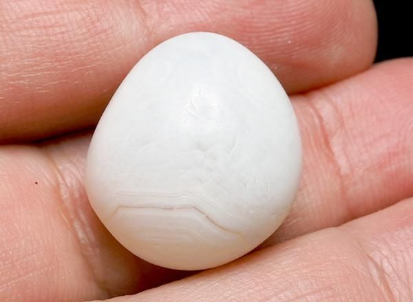 <img class='new_mark_img1' src='https://img.shop-pro.jp/img/new/icons20.gif' style='border:none;display:inline;margin:0px;padding:0px;width:auto;' />����<br>��ι�����Τ�����֥�<BR>�̳�ƻ �ػ�����ι�Į��