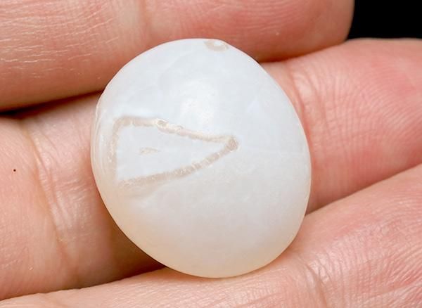 <img class='new_mark_img1' src='https://img.shop-pro.jp/img/new/icons20.gif' style='border:none;display:inline;margin:0px;padding:0px;width:auto;' />����<br>��ι�����Τ�����֥�<BR>�̳�ƻ �ػ�����ι�Į��