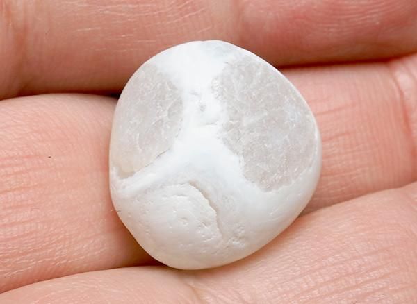 <img class='new_mark_img1' src='https://img.shop-pro.jp/img/new/icons20.gif' style='border:none;display:inline;margin:0px;padding:0px;width:auto;' />����<br>��ι�����Τ�����֥�<BR>�̳�ƻ �ػ�����ι�Į��