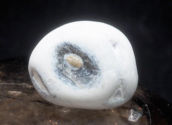 <img class='new_mark_img1' src='https://img.shop-pro.jp/img/new/icons20.gif' style='border:none;display:inline;margin:0px;padding:0px;width:auto;' />����<br>��ι�����Τ�����֥�<BR>�̳�ƻ �ػ�����ι�Į��