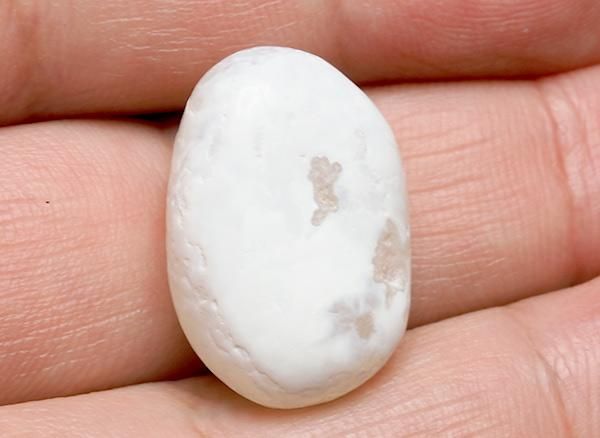 <img class='new_mark_img1' src='https://img.shop-pro.jp/img/new/icons20.gif' style='border:none;display:inline;margin:0px;padding:0px;width:auto;' />����<br>��ι�����Τ�����֥�<BR>�̳�ƻ �ػ�����ι�Į��