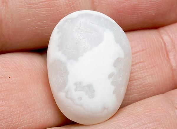 <img class='new_mark_img1' src='https://img.shop-pro.jp/img/new/icons20.gif' style='border:none;display:inline;margin:0px;padding:0px;width:auto;' />����<br>��ι�����Τ�����֥�<BR>�̳�ƻ �ػ�����ι�Į��