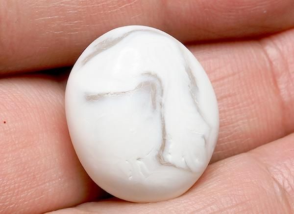 <img class='new_mark_img1' src='https://img.shop-pro.jp/img/new/icons20.gif' style='border:none;display:inline;margin:0px;padding:0px;width:auto;' />����<br>��ι�����Τ�����֥�<BR>�̳�ƻ �ػ�����ι�Į��