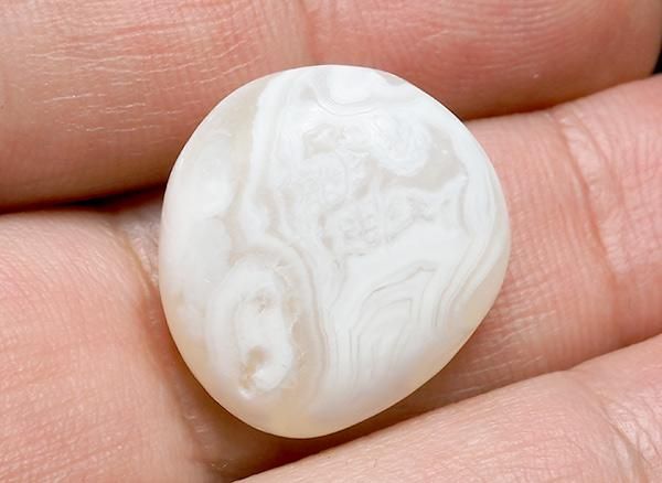 <img class='new_mark_img1' src='https://img.shop-pro.jp/img/new/icons20.gif' style='border:none;display:inline;margin:0px;padding:0px;width:auto;' />����<br>��ι�����Τ�����֥�<BR>�̳�ƻ �ػ�����ι�Į��